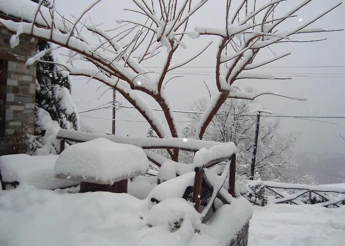 Pensiune Iliovolo 4*